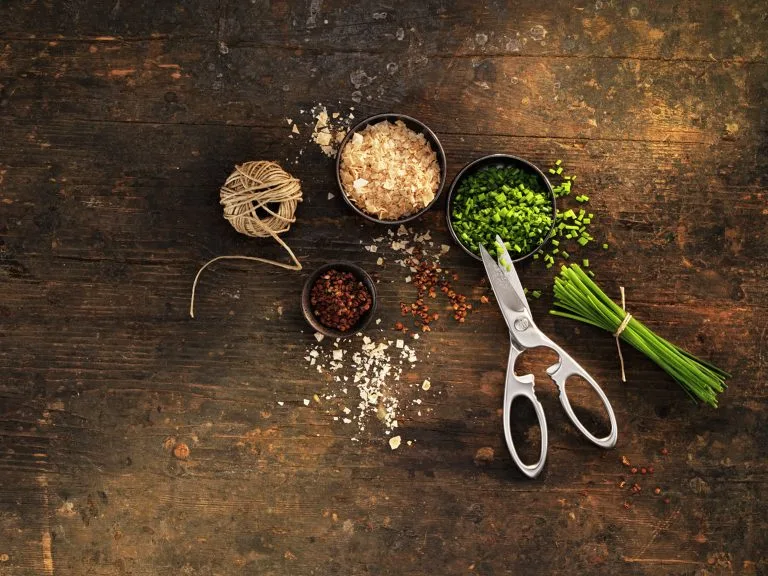 Ciseaux universels Zwilling Twin Select Ciseaux Universels Zwilling Twin Select -nordicnest Boutique 509066 01 20 EnvironmentImage b6b5935396 scaled