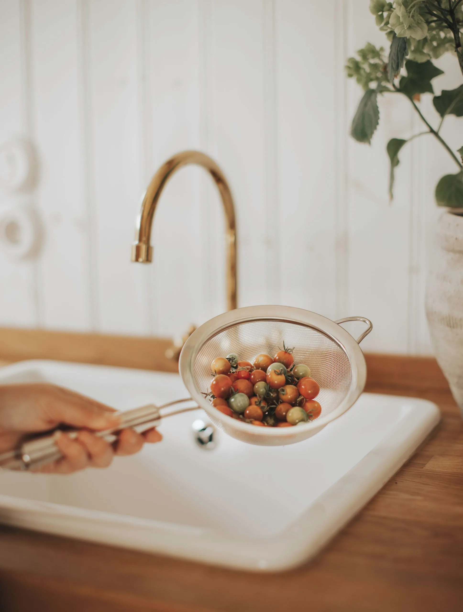 Passoire Pia Ø16 cm Dorre Passoire Pia Ø16 Cm -nordicnest Boutique 571084 01 9 EnvironmentImage 698a13c27a scaled